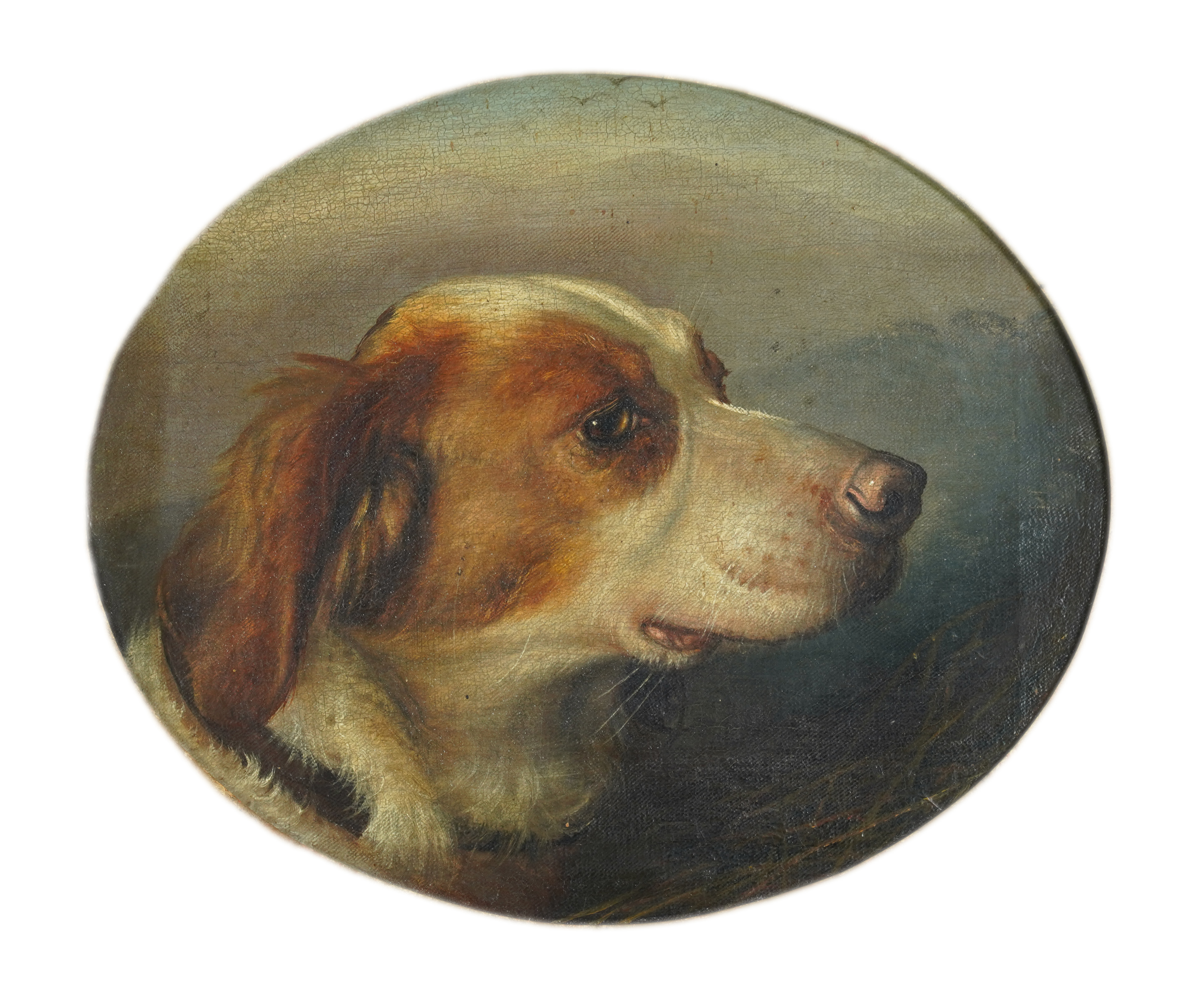 Manner of George Earl, 1824-1908, A head study of a dog